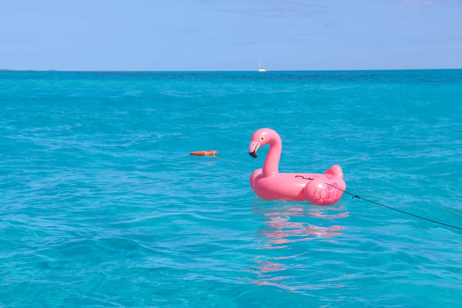 Cancun: Isla Mujeres Full Day Dancer Cruise - Isla Mujeres: 2 Hours to Shop, Swim, and Plot Your Own Mini-Adventure