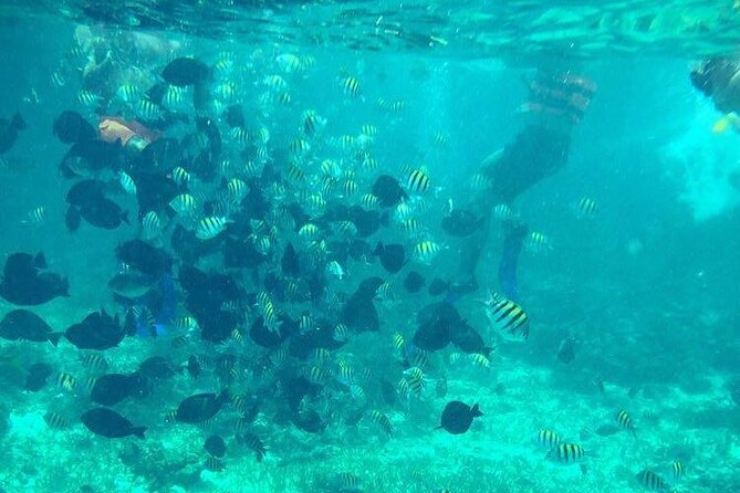 Cancun: Jetski and Snorkel Adventure - Jetski Through Nichupte, Snorkel at Meco, All in 2 Hours
