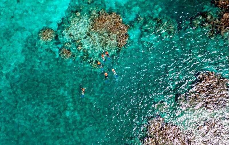 Cancun: Jungle Tour Adventure with Speedboat and Snorkeling - Quick hit list: what you’ll remember most