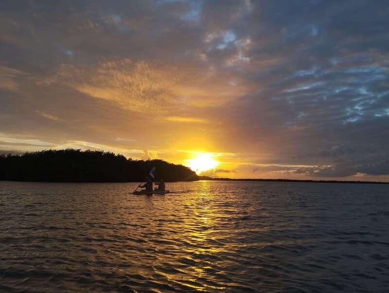 Cancun: Kayaking Tour in Nichupte Lagoon - How the tour runs: from quick paddling basics to mangrove caves