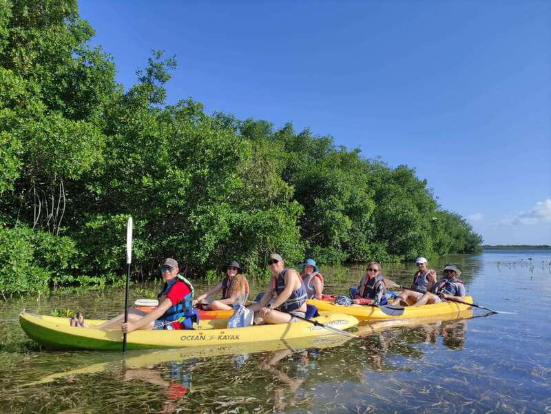 Cancun: Kayaking Tour in Nichupte Lagoon - Wildlife spotting in Nichupte Lagoon: what you might actually see