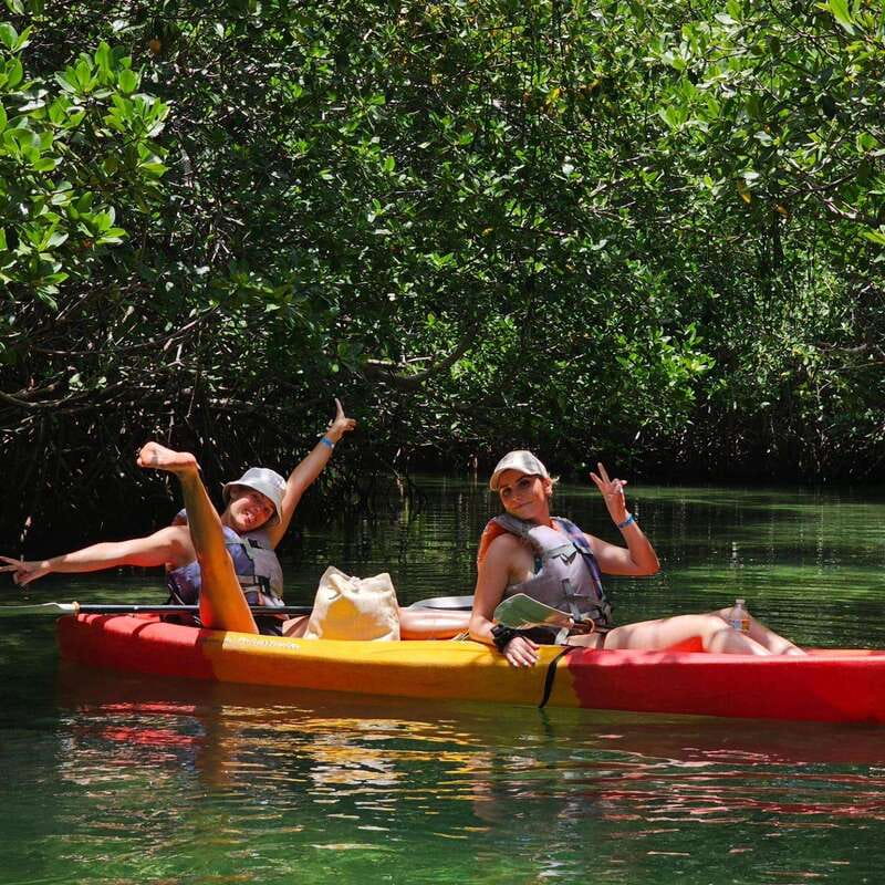 Cancun: Kayaking Tour in Nichupte Lagoon - The mangrove ecosystem lesson you get without it feeling like school