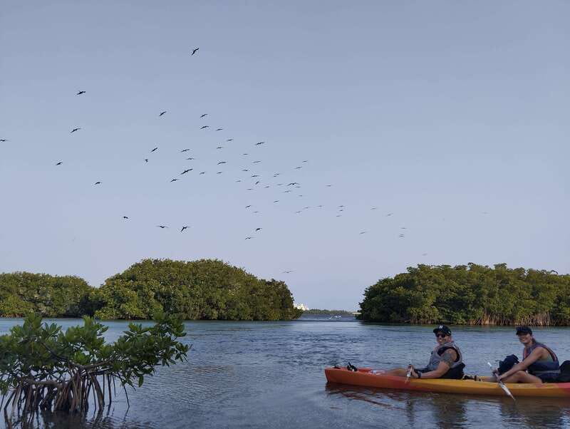 Cancun: Kayaking Tour in Nichupte Lagoon - Best time to go: early morning, noon sun, or sunset on the water