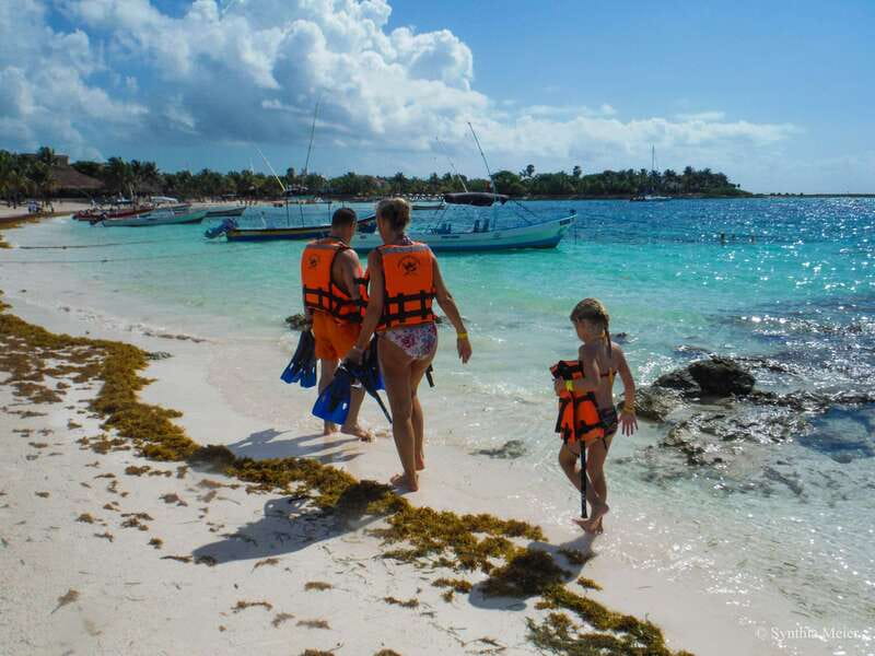 Cancun: Marine Turtle Observation in Akumal - Cenote Azul expectations, plus what to do if you land at a different cenote