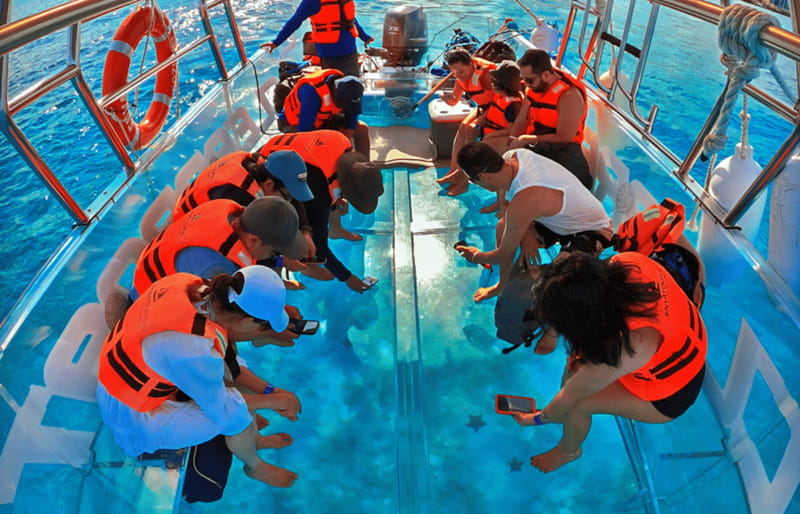 Cancún: Nichupté Lagoon Transparent Boat Tour with Drinks - Should You Book This Transparent Boat Tour on Nichupté Lagoon?