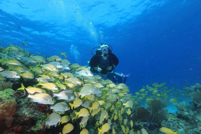 Cancun: Scuba Diving for Beginners, 2 Dives - First Ocean Tank at MUSA Underwater Museum