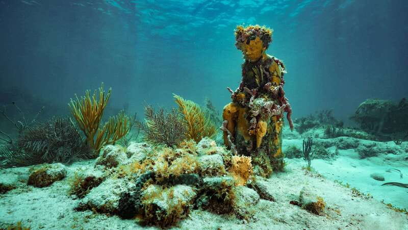 Cancun: Snorkeling Tour at MUSA The Underwater Museum - Key things to know before you go