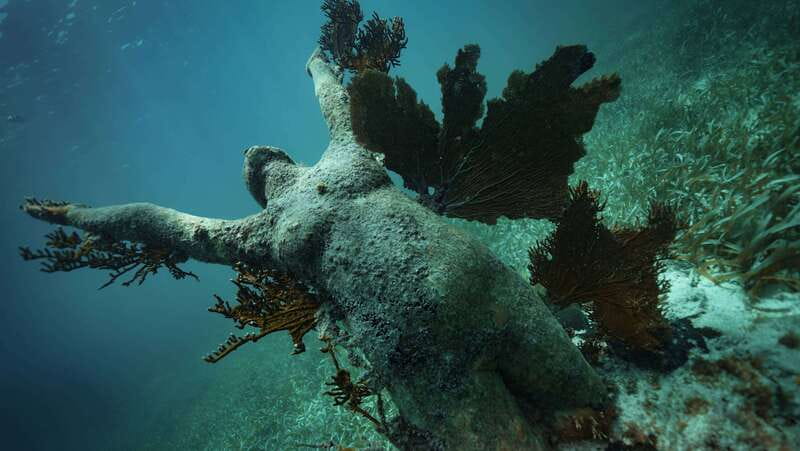 Cancun: Snorkeling Tour at MUSA The Underwater Museum - What’s included, what’s not, and how to pack like a pro