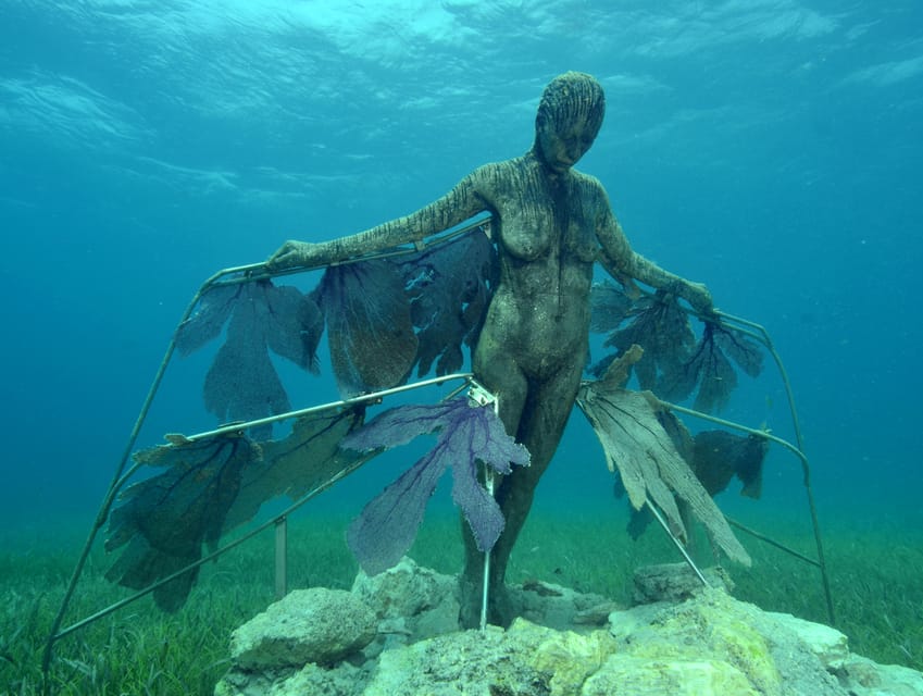 Cancun: Snorkeling Tour at MUSA The Underwater Museum - How the tour runs in real time