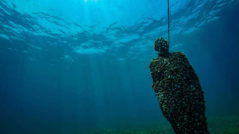 Cancun: Snorkeling Tour at MUSA The Underwater Museum - When this tour is the best fit