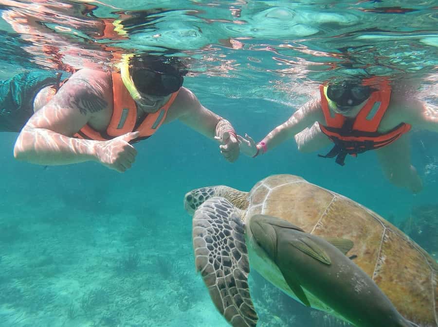 Cancun: Snorkeling tour with Sea Turtles & Cenote, half day. - Guide Quality and Language Groups: Why It Can Make or Break the Tour