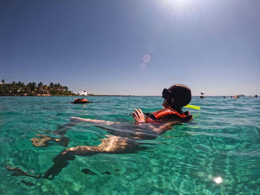 Cancun: Snorkeling tour with Sea Turtles & Cenote, half day. - Price Reality and the Extra Fee Issue: Know Before You Hand Over Cash