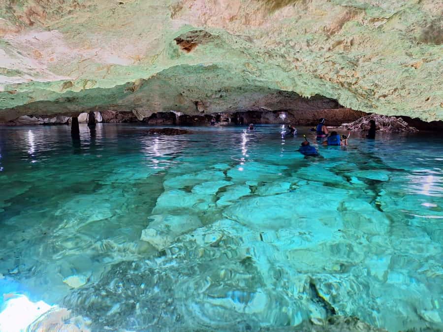 Cancun: Snorkeling tour with Sea Turtles & Cenote, half day. - Who Should Book This Sea Turtle and Cenote Tour (and Who Should Skip)