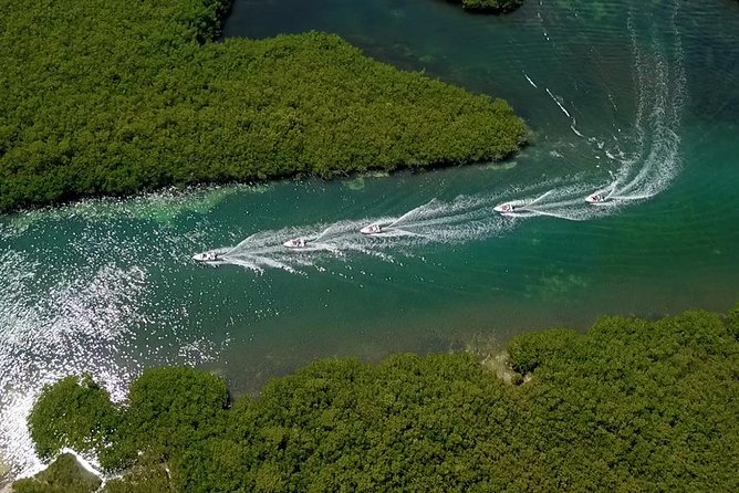 Cancun speedboat and snorkel tour: shared speedboat - Punta Nizuc snorkeling: statues, coral reef, and the wildlife odds