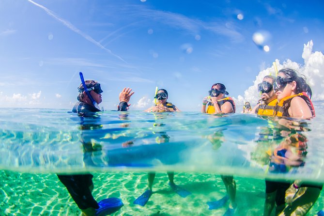 Cancun speedboat and snorkel tour: shared speedboat - Who this shared speedboat snorkel trip is best for