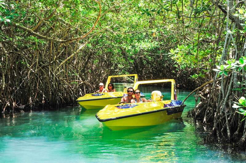 Cancun: Speedboat Mangrove Jungle & Snorkel Tour - Snorkelling at Punta Nizuc: beginner-friendly, but manage your time