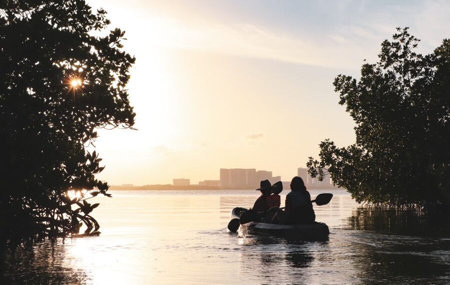 Cancun: Sunset Kayak Experience in the Mangroves - How hard is it, really?