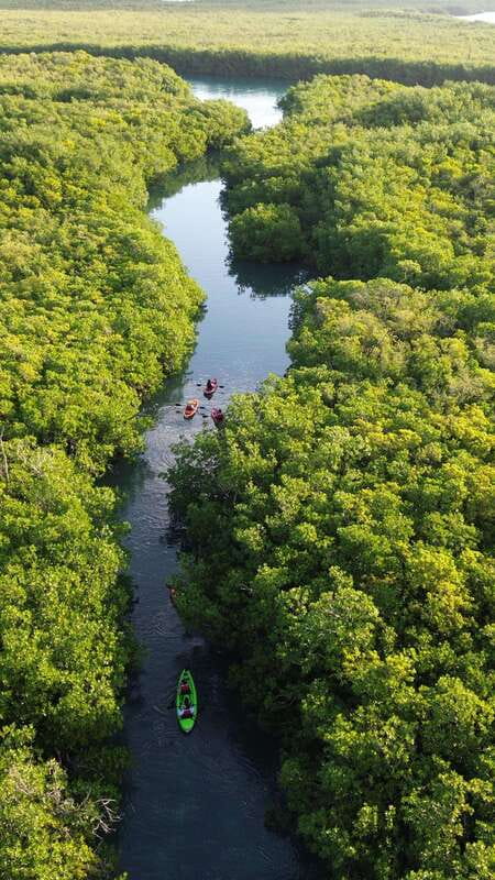 Cancun: Sunset Kayak Experience in the Mangroves - Kayaks that help beginners, with real comfort features