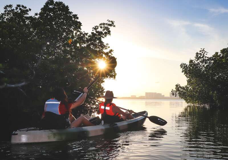 Cancun: Sunset Kayak Experience in the Mangroves - First guided paddle in the Nichupté Lagoon mangroves