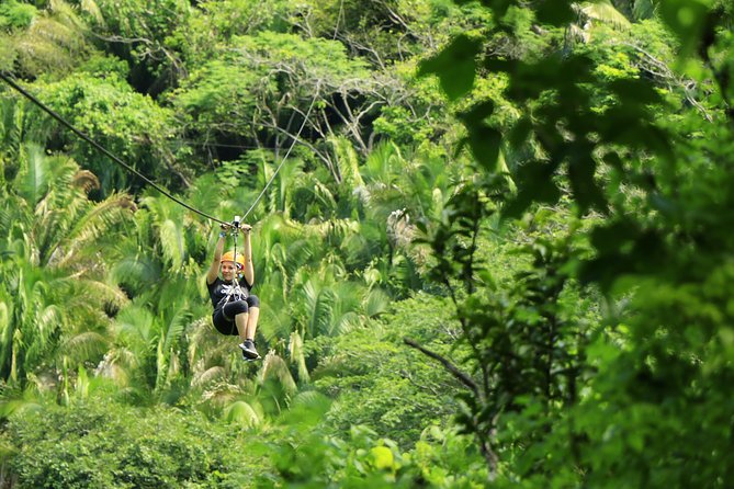 Canopy River Zipline Tour and Mule Ride - Key Highlights Worth Your Time