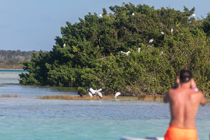 Catamaran Adventure: Sailing and Swimming in the Bacalar Lagoon - Group size: why max 20 travelers feels better than the big crowd