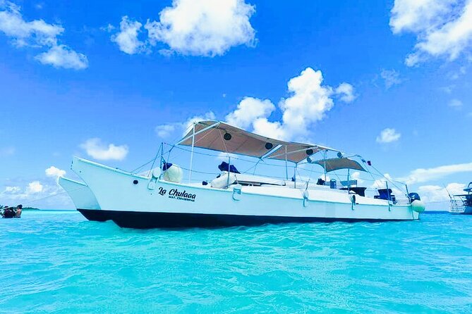 Catamaran Snorkel Adventure to El Cielo and The Money Bar Beach - Palancar and Colombia snorkeling: marine life odds and water-world reality