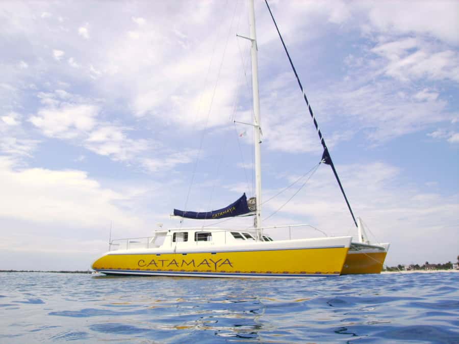 Catamaya Snorkel & Sea Life Adventure day tour - Price, Dock Fees, and Getting Real Value for $125