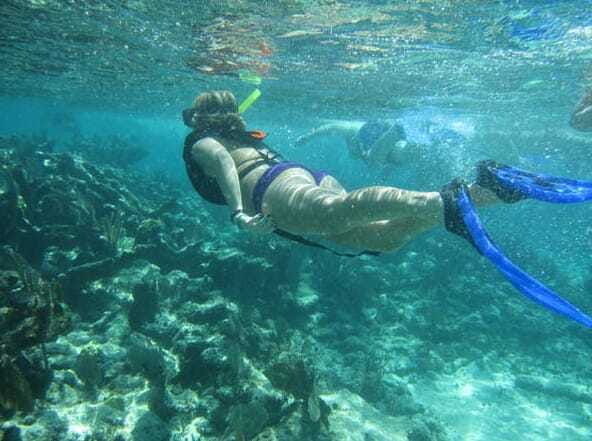 Catamaya Snorkel & Sea Life Adventure day tour - Who Should Book This, and Who Should Skip It