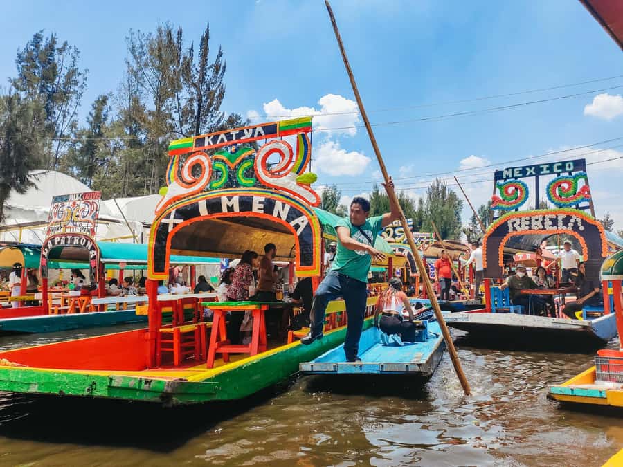 CDMX: Xochimilco, Coyoacan, Frida Kahlo Museum & Murals Tour - Coyoacán Walking Loop: Cobblestone Streets and Neighborhood Time