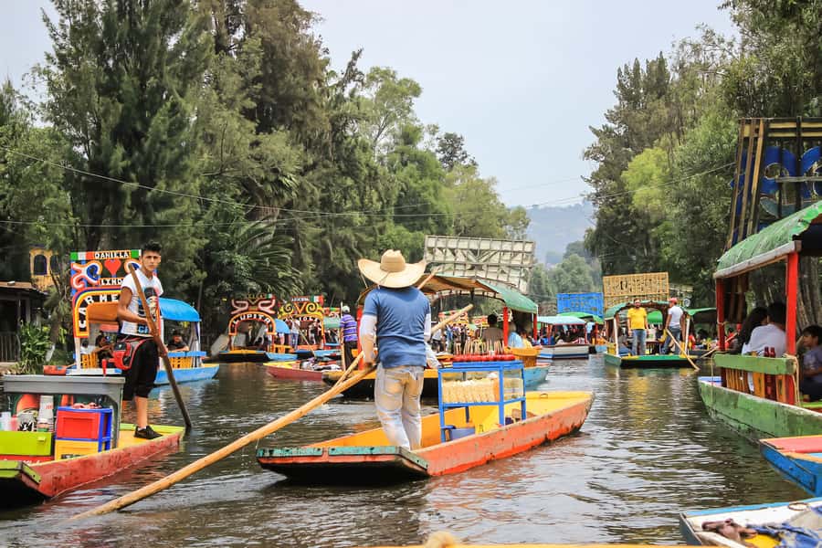 CDMX: Xochimilco, Coyoacan, Frida Kahlo Museum & Murals Tour - UNAM Murals and the Central Library at Ciudad Universitaria