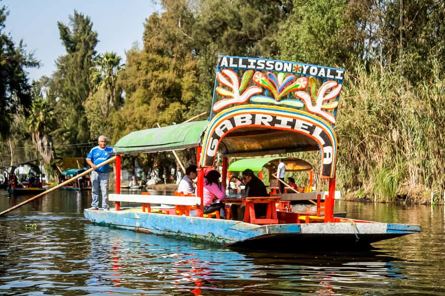 CDMX: Xochimilco, Coyoacan, Frida Kahlo Museum & Murals Tour - Xochimilco Canals by Trajinera: Lunch Choices and How to Enjoy Two Hours Afloat