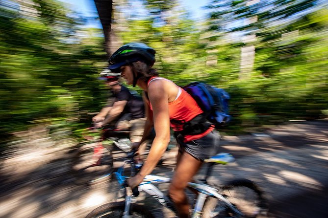 Cenotes trail jungle bike tour in Tulum with lunch - Who This Tour Fits Best, and Who Might Skip