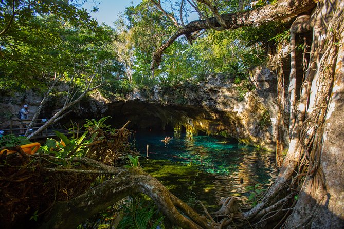 Cenotes trail jungle bike tour in Tulum with lunch - Option 2: Two Cenotes Plus Tulum Jungle Lunch