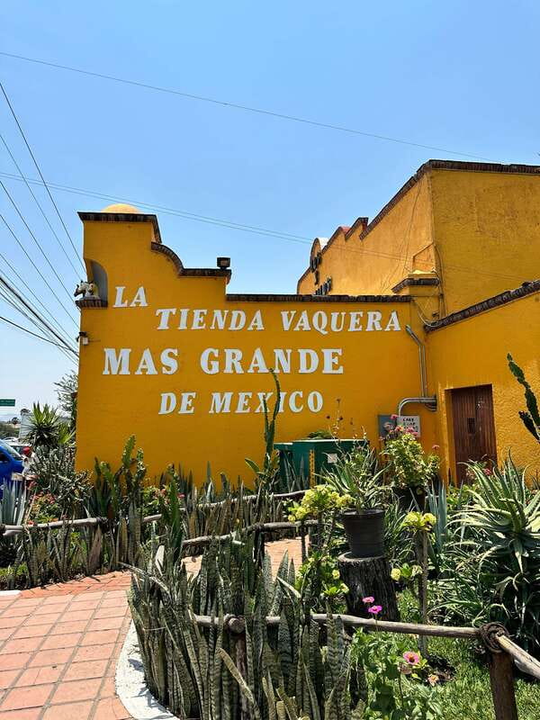 Chapala and Ajijic Tour from Guadalajara with 3 Potrillos - Key Highlights You’ll Care About