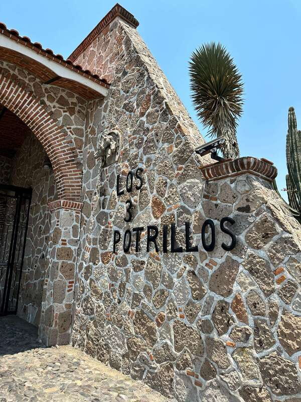 Chapala and Ajijic Tour from Guadalajara with 3 Potrillos - Who Should Book This, and Who Should Skip It