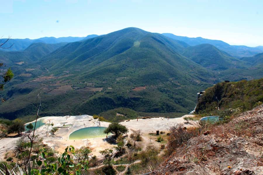 Check out Hierve el Agua, Mitla, the Tule Tree, Rugs, and a Mezcal Distillery Tour - Who should book this Oaxaca day, and who should skip it