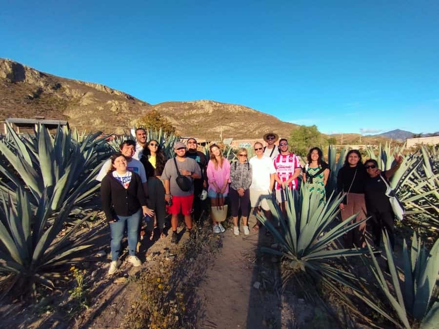 Check out Hierve el Agua, Mitla, the Tule Tree, Rugs, and a Mezcal Distillery Tour - Final verdict: should you book Oaxaca by locals for this route?