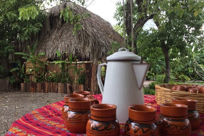 Chocolate Tour in Vallarta - Entering the Planeta Cacao story, from tree to culture