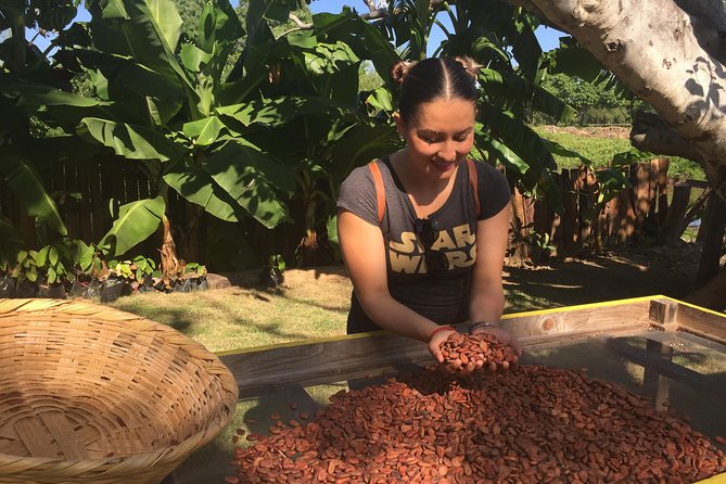 Chocolate Tour in Vallarta - Tasting what’s included, plus what you can buy