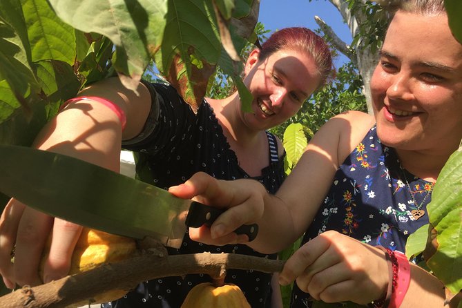 Chocolate Tour in Vallarta - Price and real-world value: $39 is fair, if you factor in transport