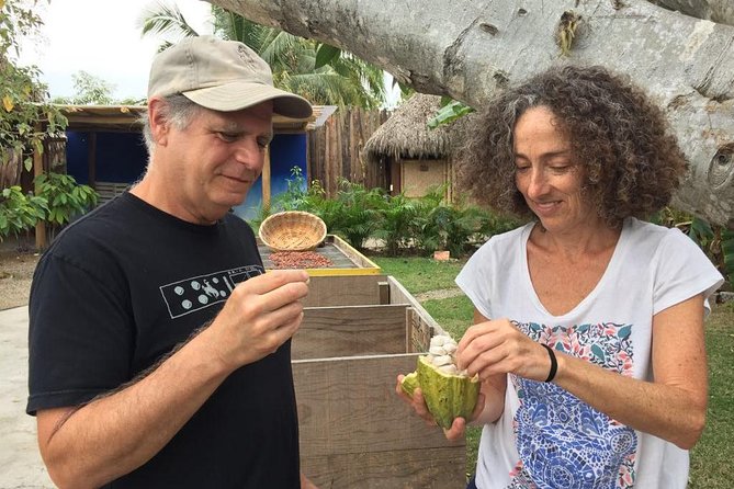 Chocolate Tour in Vallarta - Who should book this chocolate tour, and who might want another option
