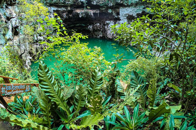 Choose your experience to live in Los 7 Cenotes San Gerónimo - From Iglesia de Sotuta to the Cenote Grounds: what the start feels like