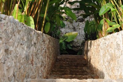 Choose your experience to live in Los 7 Cenotes San Gerónimo