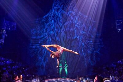 Cirque du Soleil JOYÀ Admission Tickets