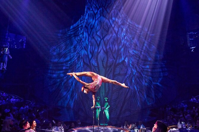 Cirque du Soleil JOYÀ Admission Tickets - Dinner timing: how the evening actually runs when you add appetizers or a full meal