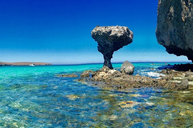 CityTour La Paz, Balandra beach and the Magic Town of Todos Santos - Balandra Beach and the Mushroom rock viewpoint