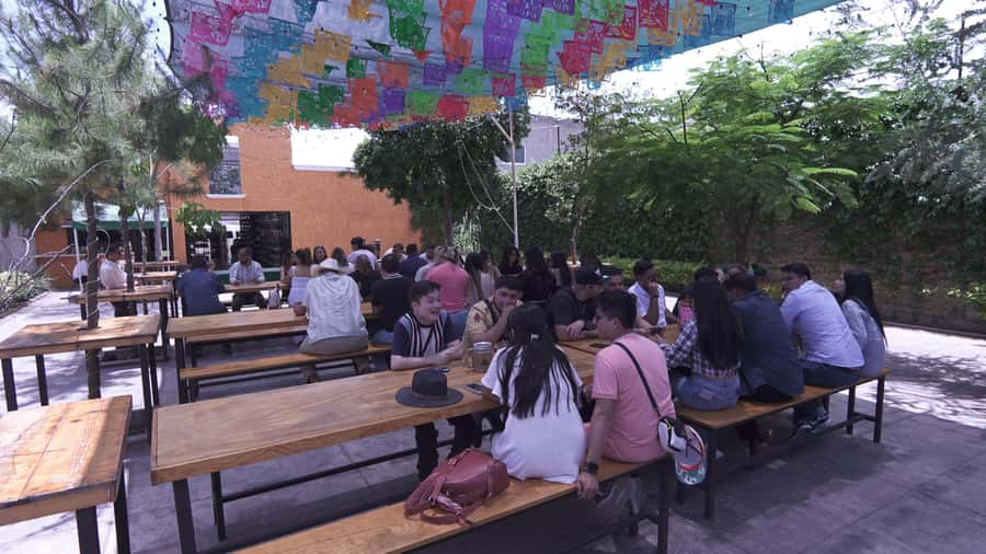 Classic Tequila Route Tour from Guadalajara and a few drinks at El Güero!!! - El Güero cantina finale, the fun part, plus a noise reality check