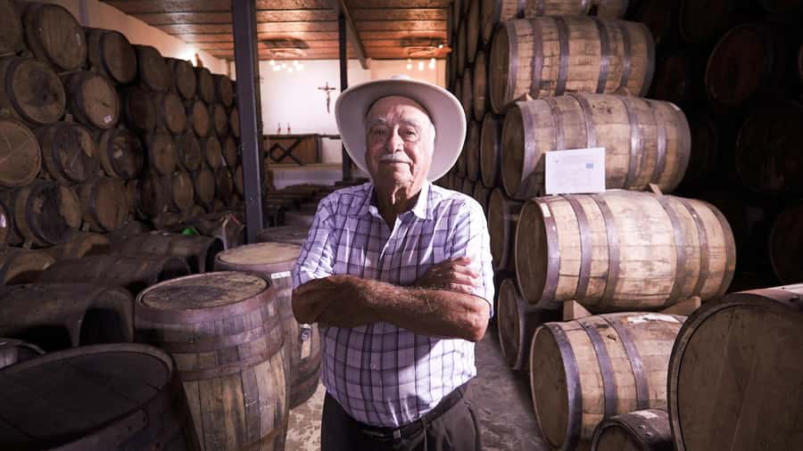 Classic Tequila Route Tour from Guadalajara and a few drinks at El Güero!!! - Guides and drivers, why the day works as one smooth experience