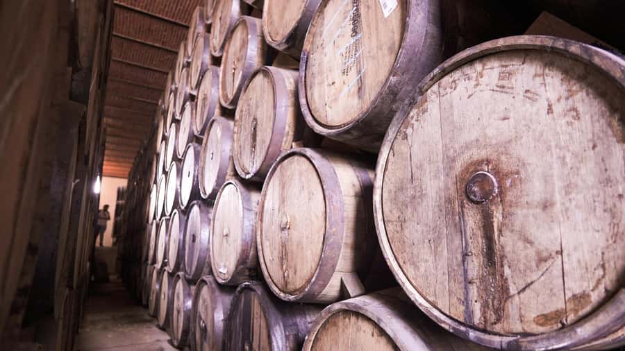 Classic Tequila Route Tour from Guadalajara and a few drinks at El Güero!!! - Price and value, what $45 includes and what costs extra