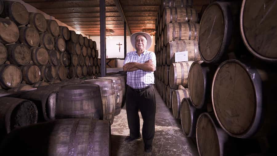 Classic Tequila Route Tour from Guadalajara and a few drinks at El Güero!!! - Don Cayo distillery visit, from harvest to barrel aging